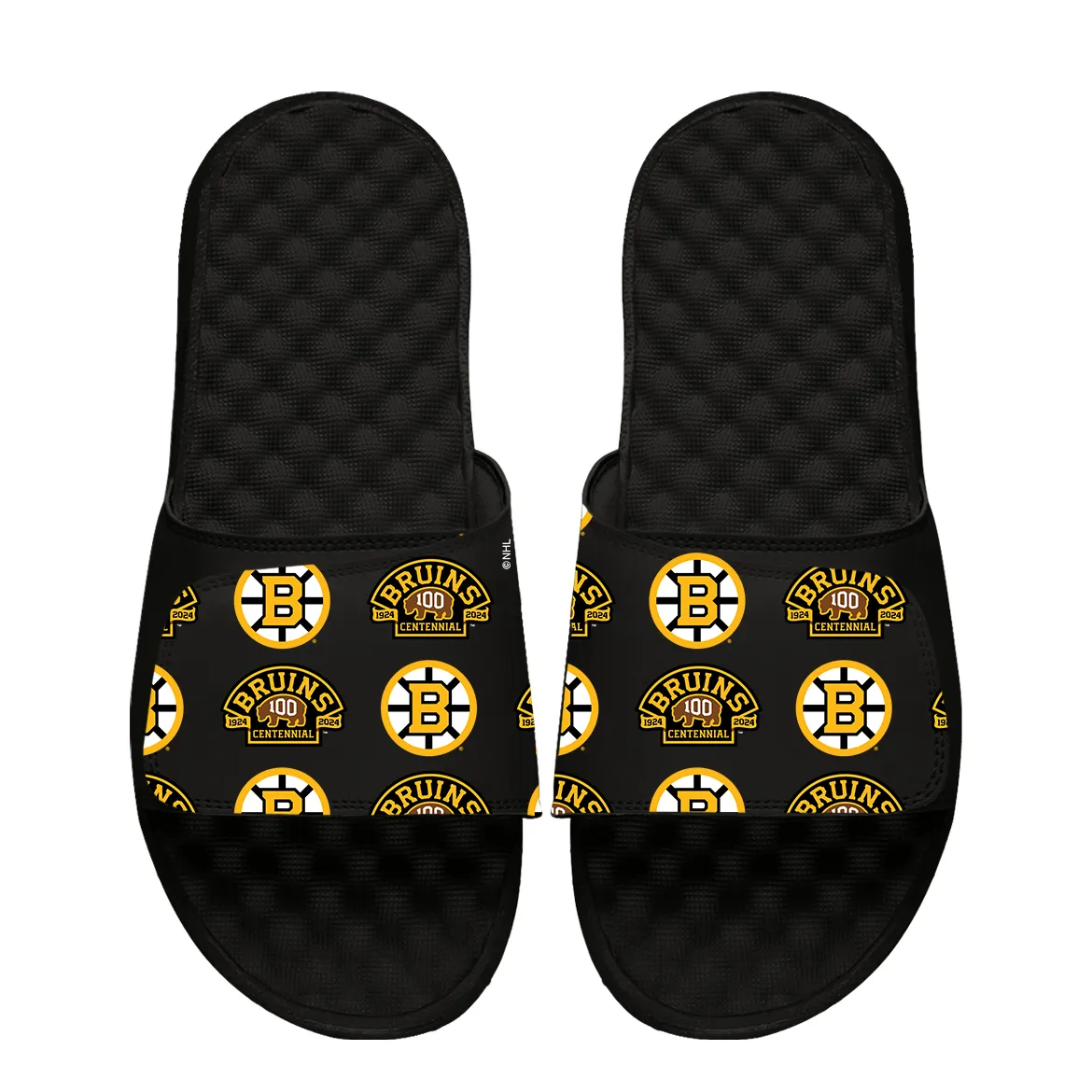 Boston Bruins Centennial Pattern