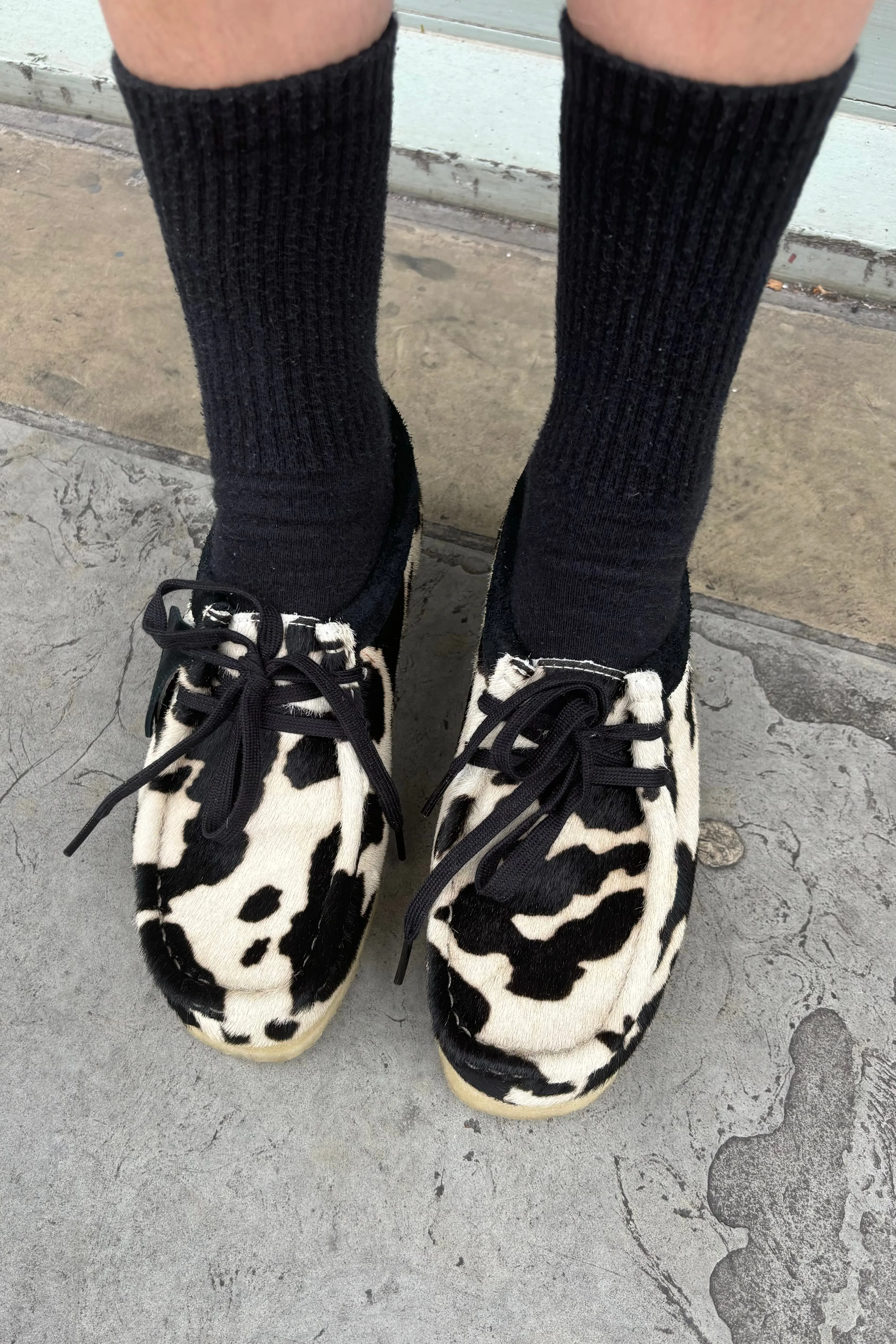 Clarks Wallabee in Cow Print