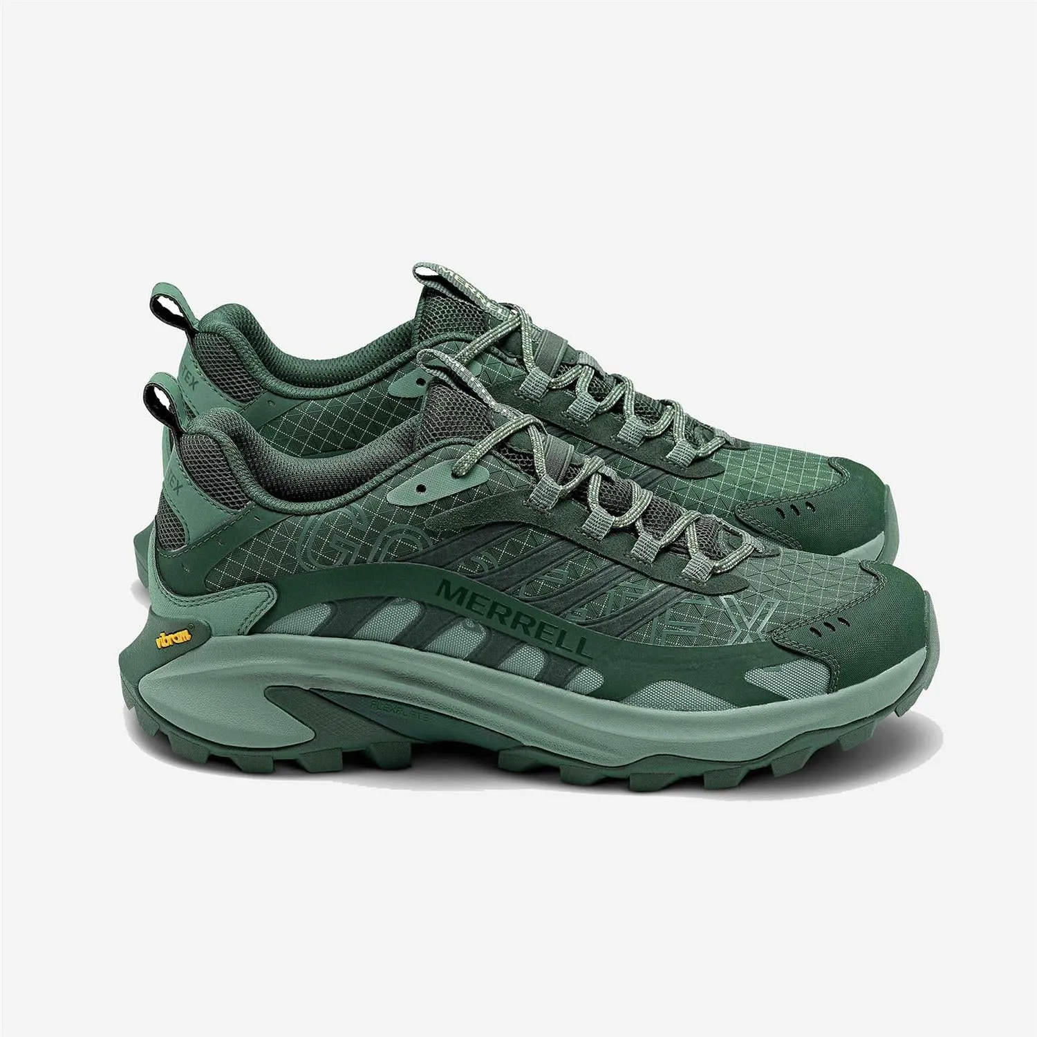 Moab Speed 2 GORE-TEX® BL - SE/Viridian