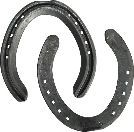 Performa Toe Clip Hind Steel Horse Shoes