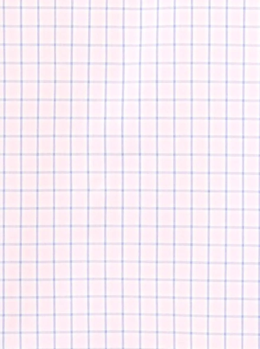 Pink & Blue Checked Regular Fit Formal Shirt | JadeBlue